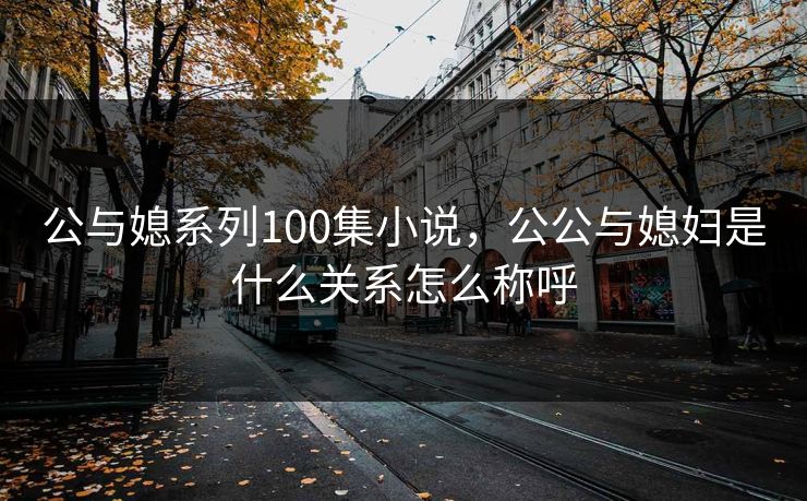 公与媳系列100集小说，公公与媳妇是什么关系怎么称呼